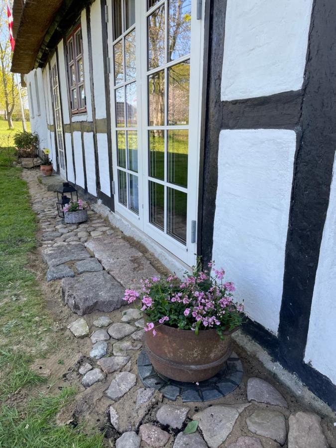 Baekgaarden 3 Rooms Apartment - Old Farm House Odense Exterior foto